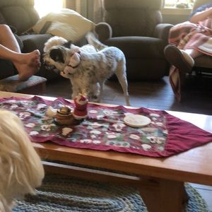 Meet your Posher, Brenda